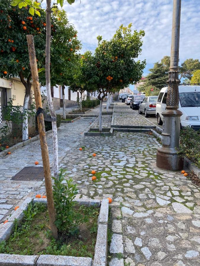 Sevilla. Gerena Casa Rural Para Familia O Profesionales Exterior foto